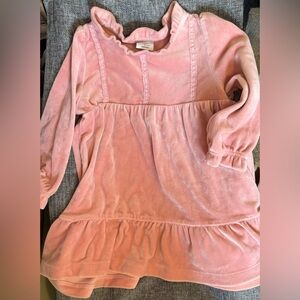 Beautiful Pink Velvet Long Sleeve Dress